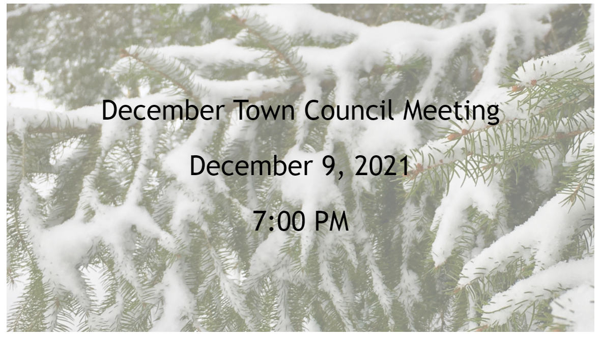 Town Council Meeting